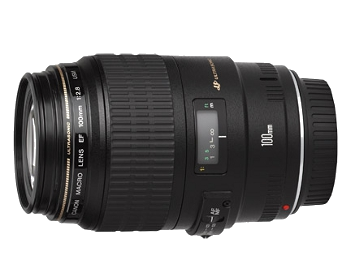 Canon EF 100mm f/2.8 USM Macro (non IS)